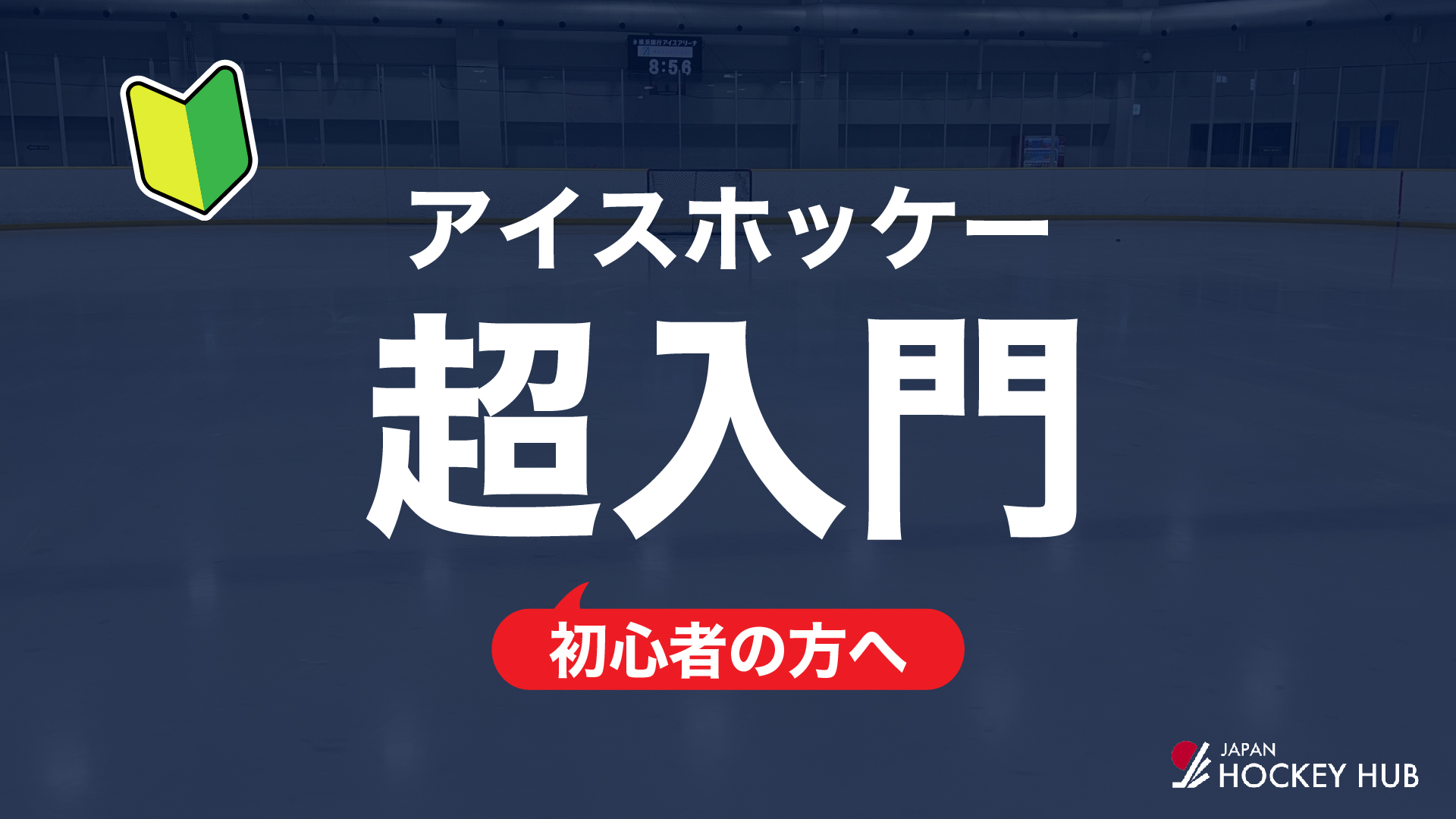 【超入門】観戦の前にこれを読めばOK